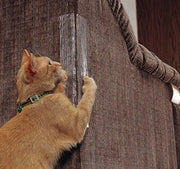 Bluey's Clear Sofa Scratch Shields with fastening pins for fabric furniture