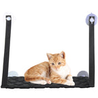 Bluey's Sunny Window Cat Perch strong suction cup mounting system
