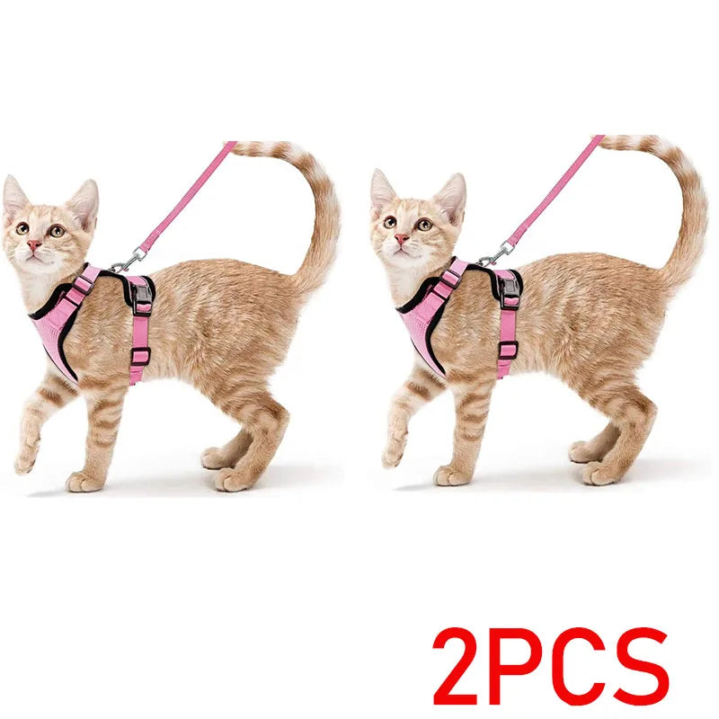 Bluey's Comfy Cat Harness