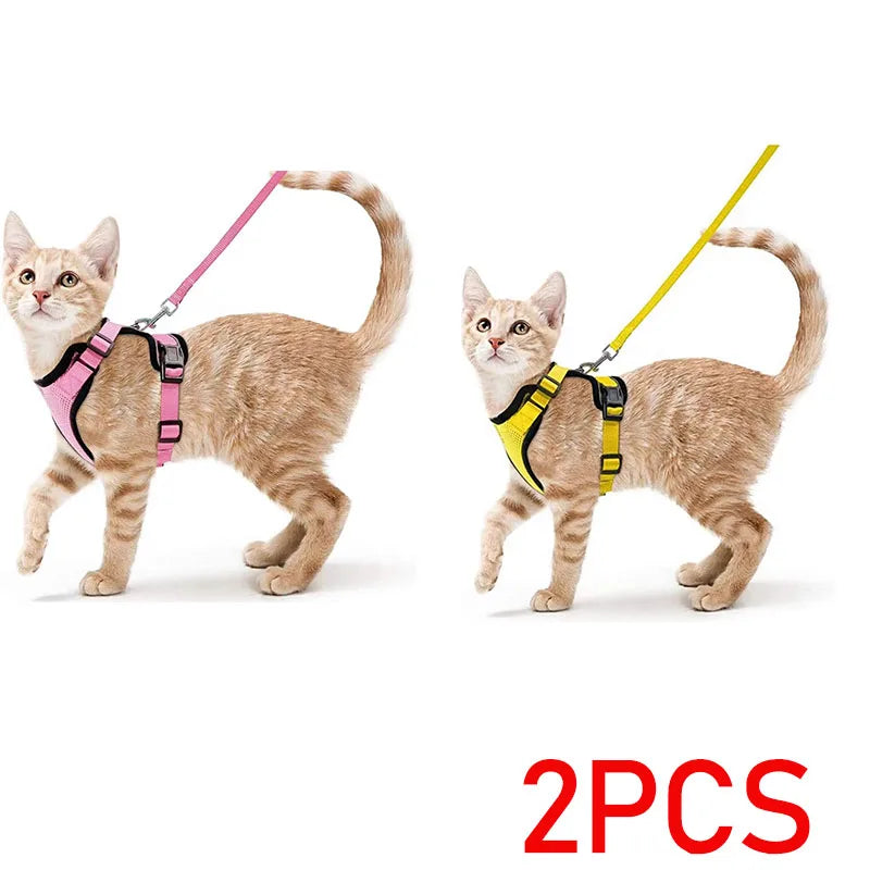 Bluey's Comfy Cat Harness
