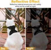 Bluey's Comfy Cat Harness