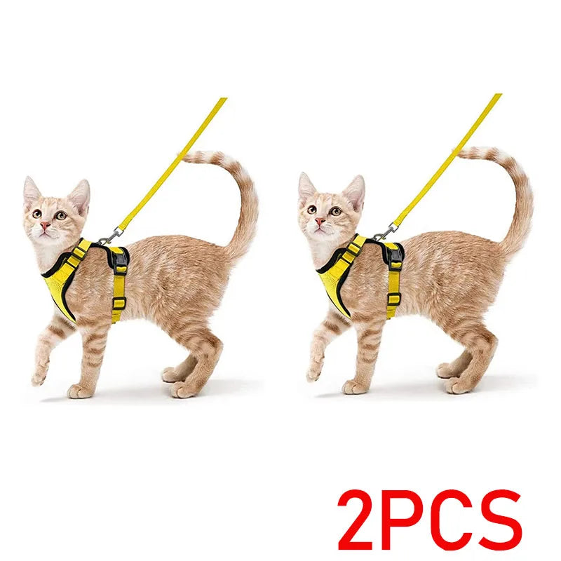 Bluey's Comfy Cat Harness