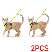 Bluey's Comfy Cat Harness