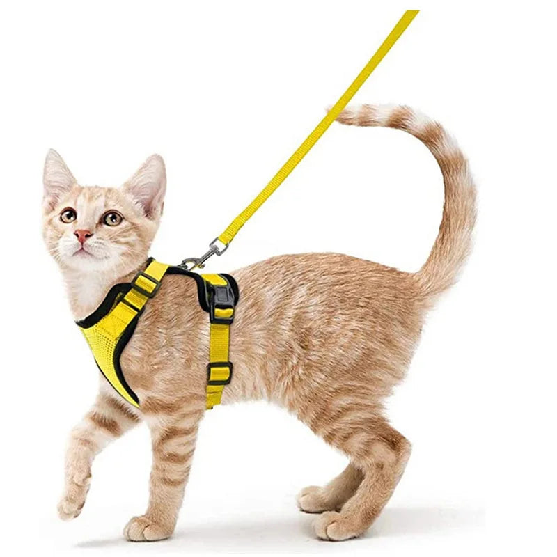 Bluey's Comfy Cat Harness