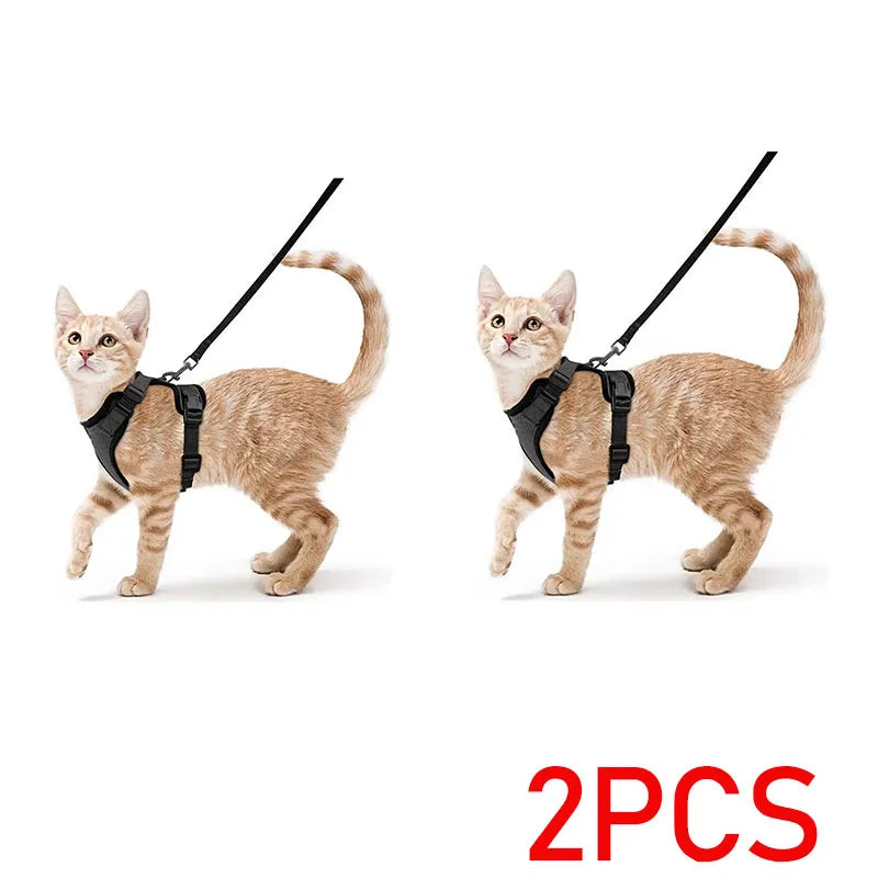 Bluey's Comfy Cat Harness