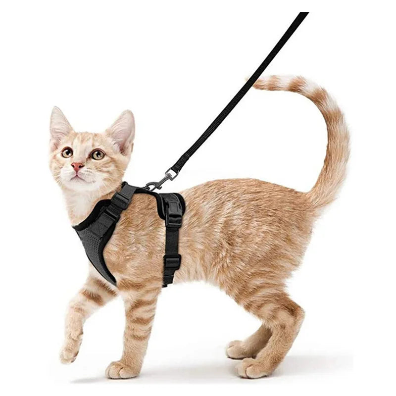 Bluey's Comfy Cat Harness