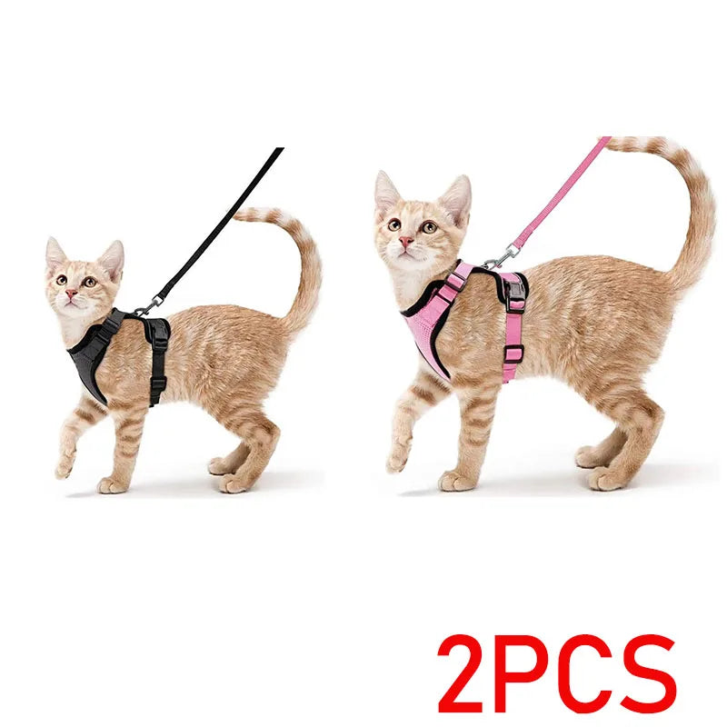 Bluey's Comfy Cat Harness