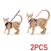 Bluey's Comfy Cat Harness