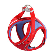 Bluey's Safer Stroll Cat Harness in red with matching leash
