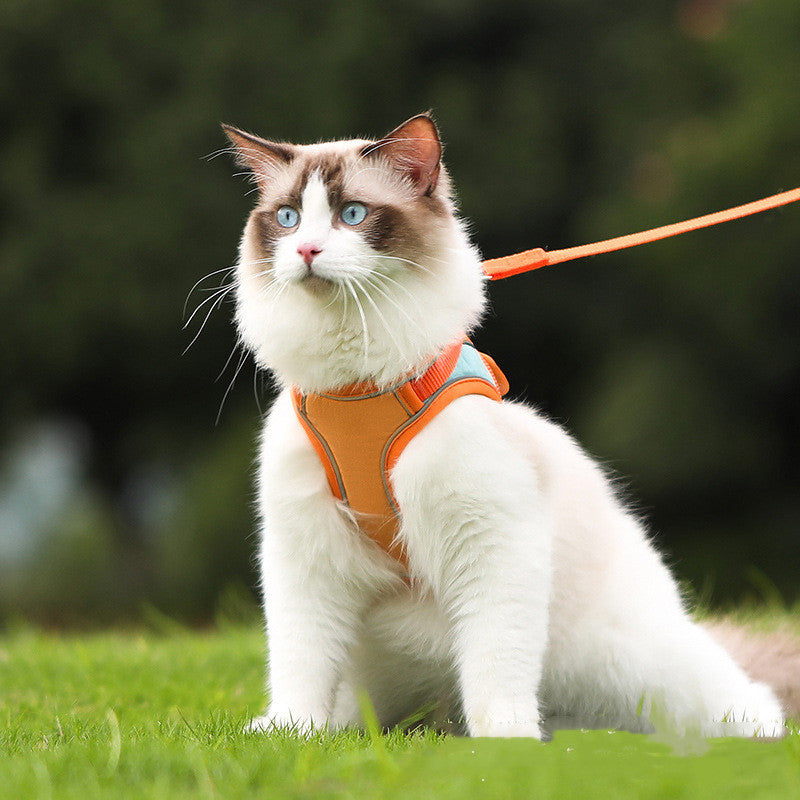 Bluey's Safer Stroll Cat Harness adjustable harness for supervised walks