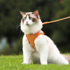 Bluey's Safer Stroll Cat Harness adjustable harness for supervised walks