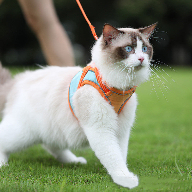 Bluey's Safer Stroll Cat Harness detail with secure clips and straps