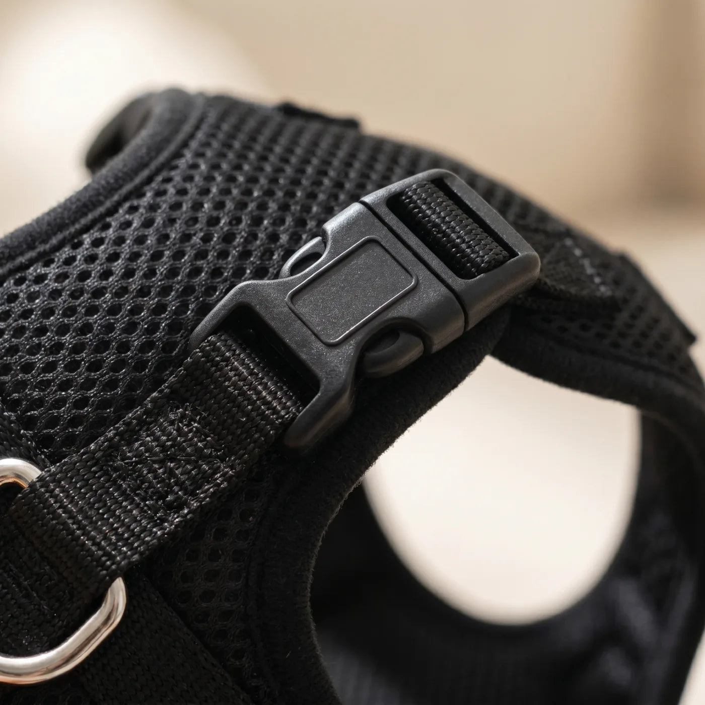 Close-up of Bluey's Comfy Harness buckle and mesh texture